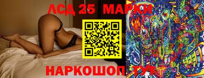 крисы Коммунар