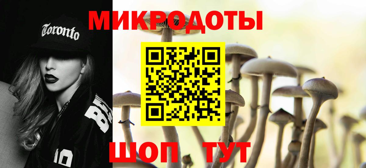 Карачаевск  Галлюциногенные грибы Magic Shrooms  Вход с VPN 
