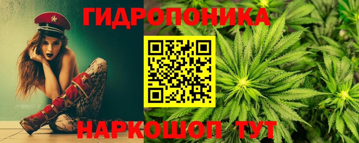 Каннабис OG Kush Карачаевск
